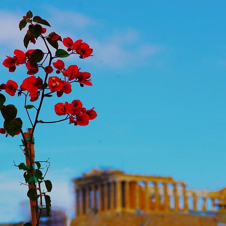 Aparthotel Absolute Athens Acropolis View Esterno foto