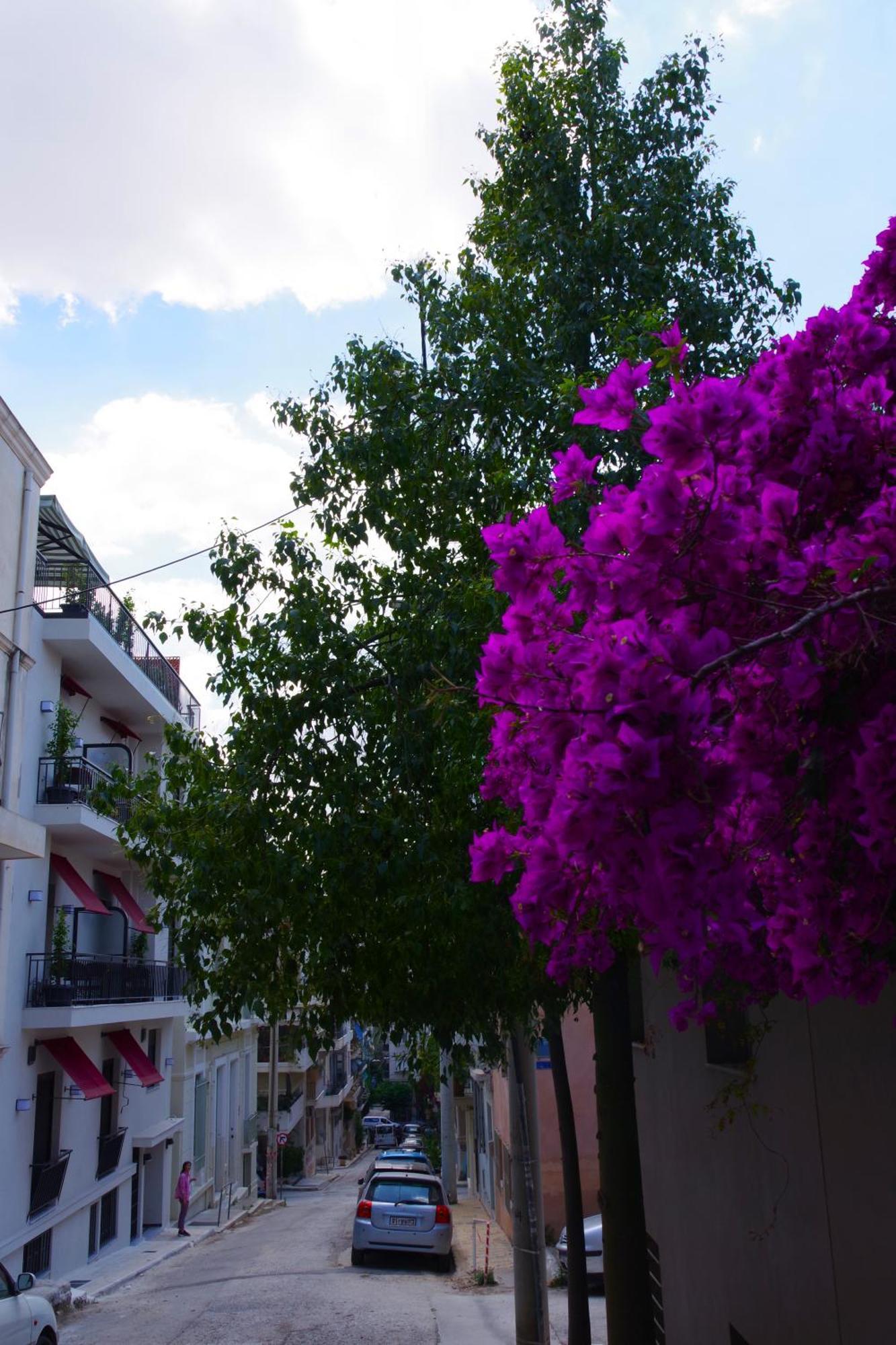 Aparthotel Absolute Athens Acropolis View Esterno foto